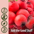 thumbnail image 5 of Nature’s Answer Organic Hawthorn Extract, Low Alcohol Liquid, Heart & Circulatory Support, Gluten Free, Kosher, 2 fl oz, 5 of 7