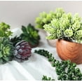 thumbnail image 5 of Artificial Plants Succulents Faux Succulents Decor Premium Crafting DIY Floral Decor for Home Garden Office Party 16 Pcs Set, 5 of 8