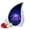 Dolphin-2, variant on VALERASH Dolphin Funeral Urns for Adult Male - Blue Urns for Adult Ashes Women Memorial Urn for Ashes for Women - 10 & 3 Inch