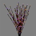 thumbnail image 1 of Celebrations 9070200 LED Prelit Burst Halloween Decor, 1 of 1