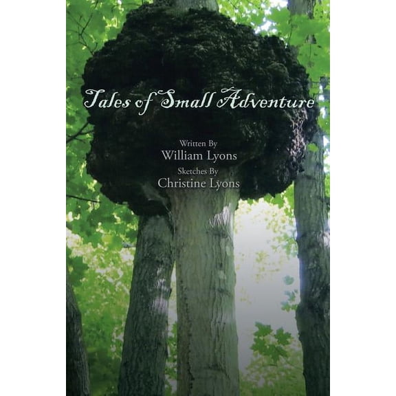 Tales of Small Adventure (Paperback)