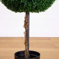 thumbnail image 5 of Nearly Natural 8ft. UV Resistant Artificial Triple Ball Boxwood Topiary Tree (Indoor/Outdoor), 5 of 9