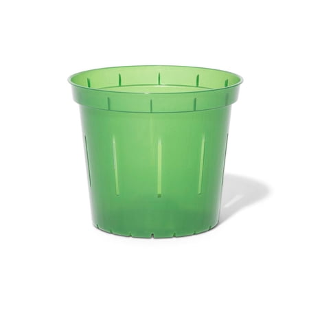 5  Green Emerald Slotted Orchid Pot (3 Pack) by rePotme