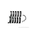 thumbnail image 4 of King Bearings Main Bearing Set - Ford 5.0L Coyote, 4 of 4