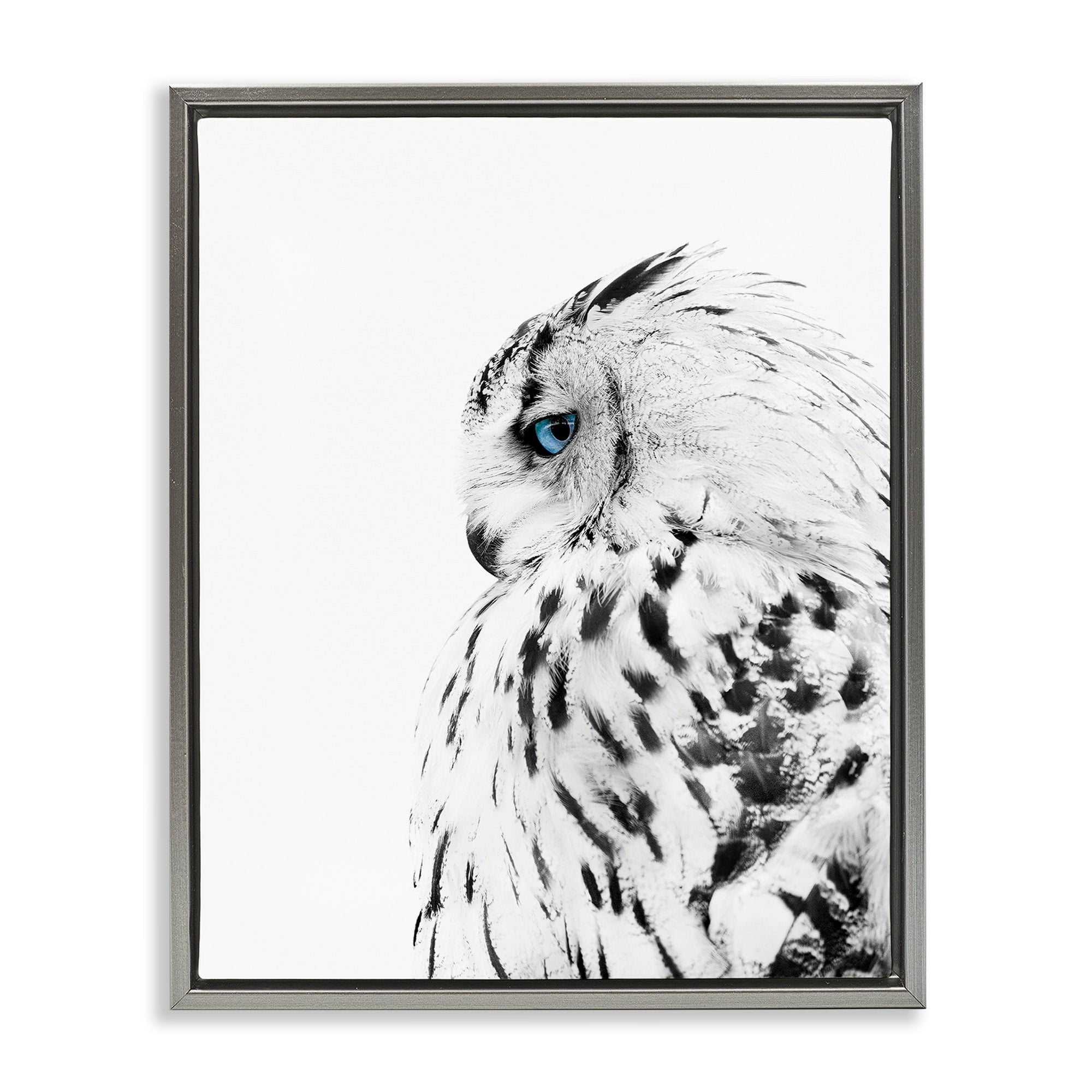Stupell Industries Snow Owl White Feathers Peering Blue Eyes Luster Gray Framed Floating Canvas Wall Art, 16x20, by Design Fabrikken