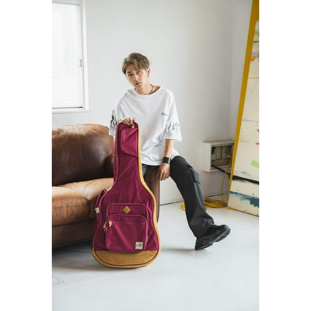 Ibanez soft sale guitar case