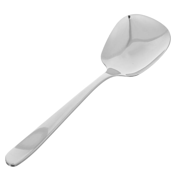 PAMINGONO Stainless Steel Serving Spoon, Silver, , Long Handle, Large, Easy to Clean, for Kitchen Use