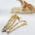thumbnail image 6 of Set of 5 Cat Catnip Toys Cat Nip Sticks Cleaning Suitable for Feather, 6 of 7