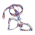 thumbnail image 1 of Cat Harness And Leash Set, Cats Escape Proof Adjustable Kitten Harness For Large Small Cats Lightweight Soft Walking Travel  Harness, 1 of 8