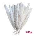 thumbnail image 3 of 10 Piezas De Decoración Seca Flores Secas Jarrones Ramo Decoración Boho Ramas, 3 of 8