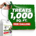 thumbnail image 6 of ECO GARDEN PRO - Organic Vinegar Weed Killer | Kid Safe Pet Safe | Clover Killer For Lawns | Moss Killer | Green Grass & Poison Ivy Killer | Spray Ready Glyphosate FREE Herbicide (1 Gallon), 6 of 6
