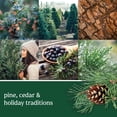 thumbnail image 3 of Yankee Candle Balsam & Cedar Concentrated Room Spray 3-Pack, 3 of 7