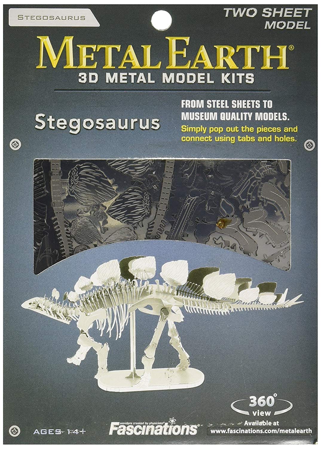 stegosaurus skeleton model