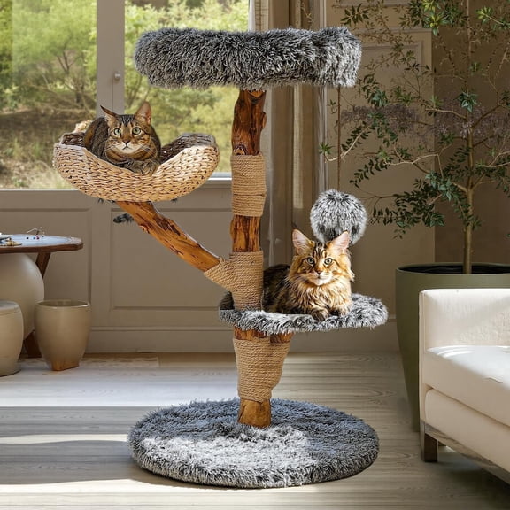 Sopapets 41.3"H Cat Tree Tower Natural Wood with Scratching Posts&Real Branch Design&1 Basket, Heavy Duty Aesthetic Cat Tower for Large Cats, Gray