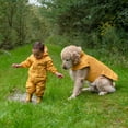 thumbnail image 6 of JAN & JUL Dog Rain Jacket (Yellow, Size: XL), 6 of 9