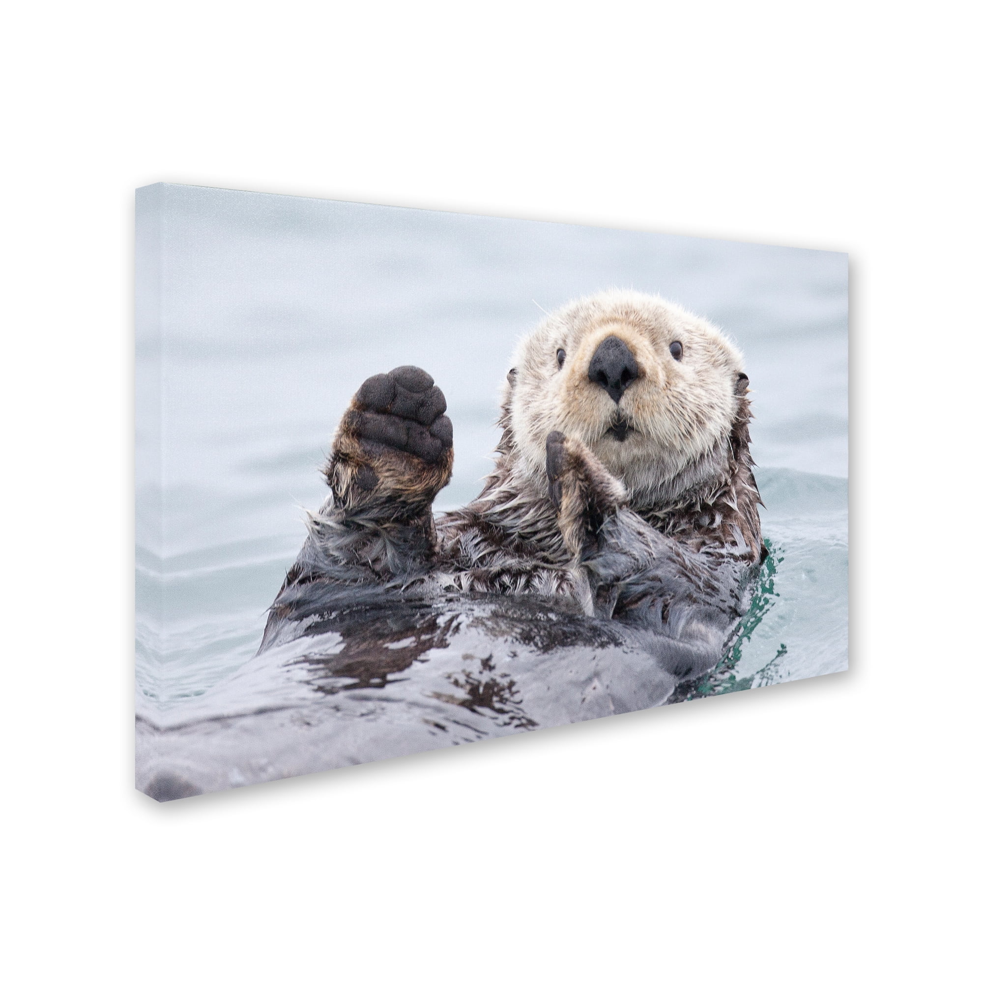 Trademark Fine Art 'Yesterday I Caught A Fish Thiiis Big!' Canvas Art by Roman Golubenko