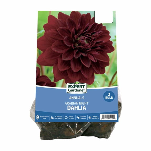 Expert Gardener Dahlia Arabian Night (Set of 2 Dormant Bulbs) Full Sun, Red, Annual