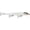 Gilded Glass Ghost, variant on Rapala Original Floater Elite Jerkbait 120 Gilded Gold Shad