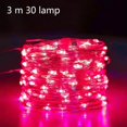 thumbnail image 2 of Paquete de 3 cuerdas de luces de hadas con pilas y mando a distancia, 10 pies, 30 LED, para jardines, 2 of 5