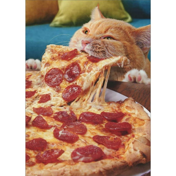 Avanti Press Cat Pulling Slice of Pizza from Whole Pizza on Table Funny / Humorous Birthday Card