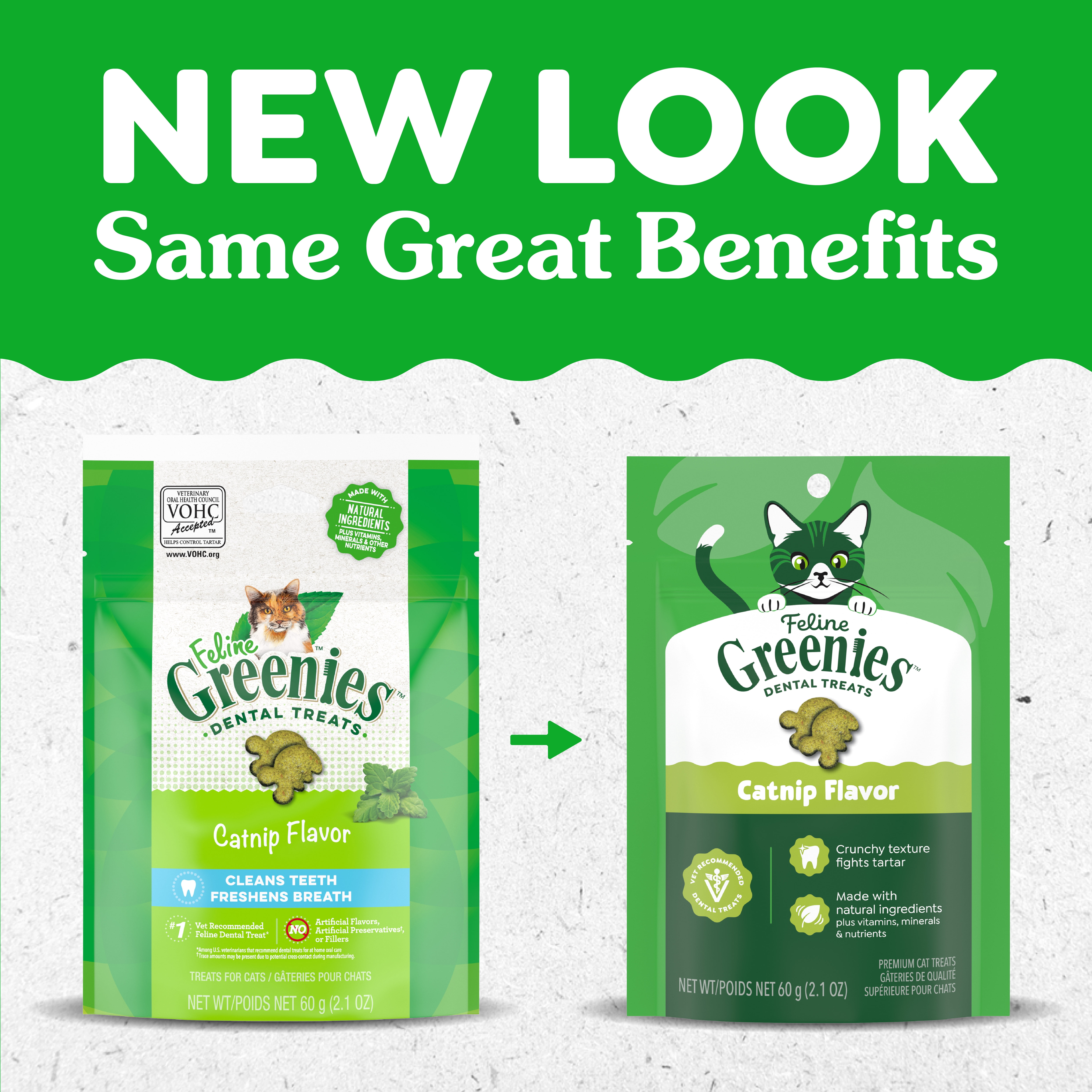 (10 pack) Greenies Feline Catnip Flavor Adult Natural Dental Cat Treats, 2.1 Oz Pouch