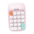 thumbnail image 4 of Teclado numérico para computadora portátil, teclado digital, mini teclado numérico USB, teclado numérico rosa, 4 of 9