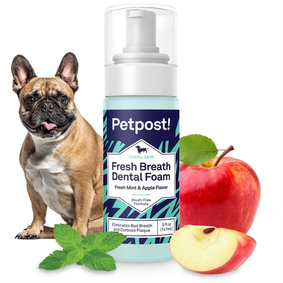 Petpost | Fresh Breath Foam for Dogs - Mint & Apple Flavored Dental Solution that Kills Bad Breath - Natural Tooth Cleaning Treatment