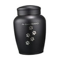 thumbnail image 3 of Bothyi Pet Urn Cremation Urn Lightweight Container Jar Keeping Precious Memories Burial, 3 of 8