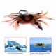 thumbnail image 3 of Señuelos de pesca falsos de cangrejo con anzuelo que se hunde Crankbait Artificial Wobbler cebo blando Hugtrwg Para estrenar, 3 of 6