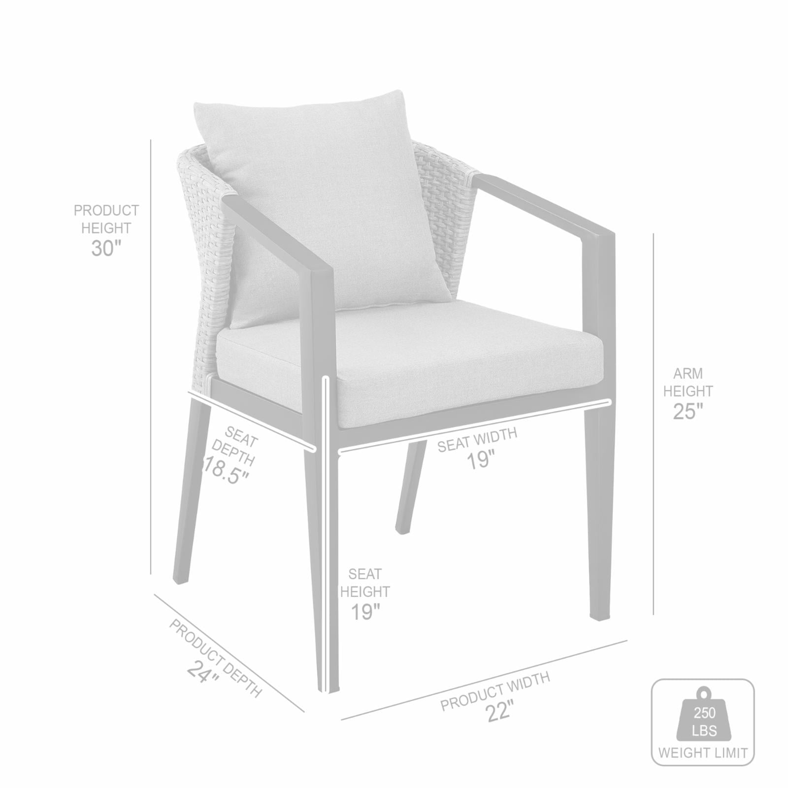 Armen Living Armen Living Aileen Outdoor Fabric/Rattan Dining Chairs in Gray/Black (Set of 2)