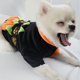 thumbnail image 2 of Abrigo de Calabaza para Mascotas Yuyangstore para Perros Bichon Chihuahua Yorkshire, 2 of 7