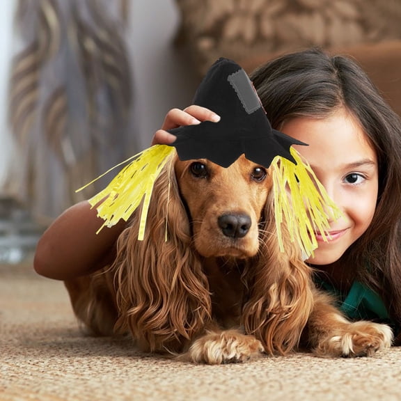 Uonlytech Dog Cosplay Hat Scarecrow Hat Multi Nylon 1Set for Costume
