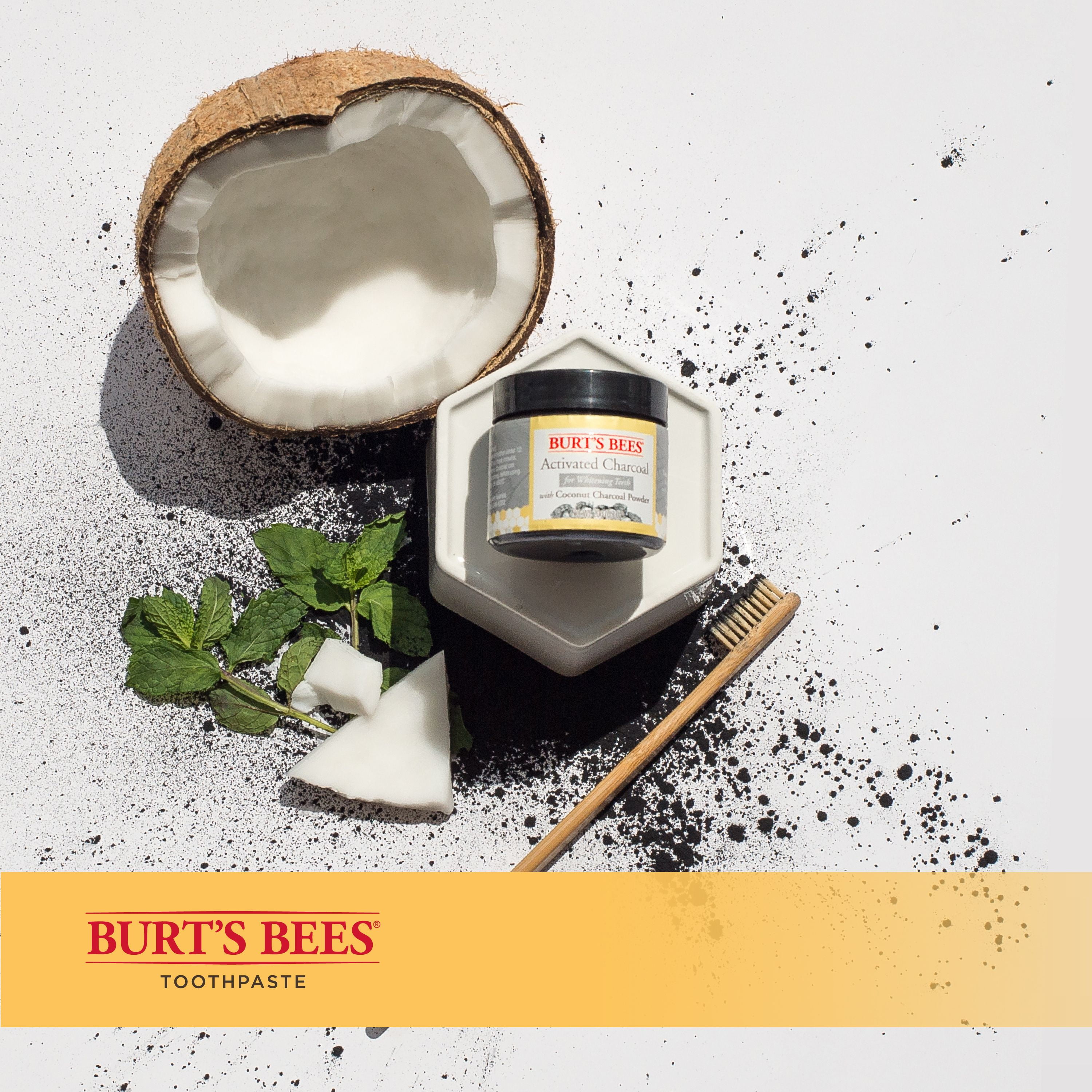 burt's bees activated charcoal powder