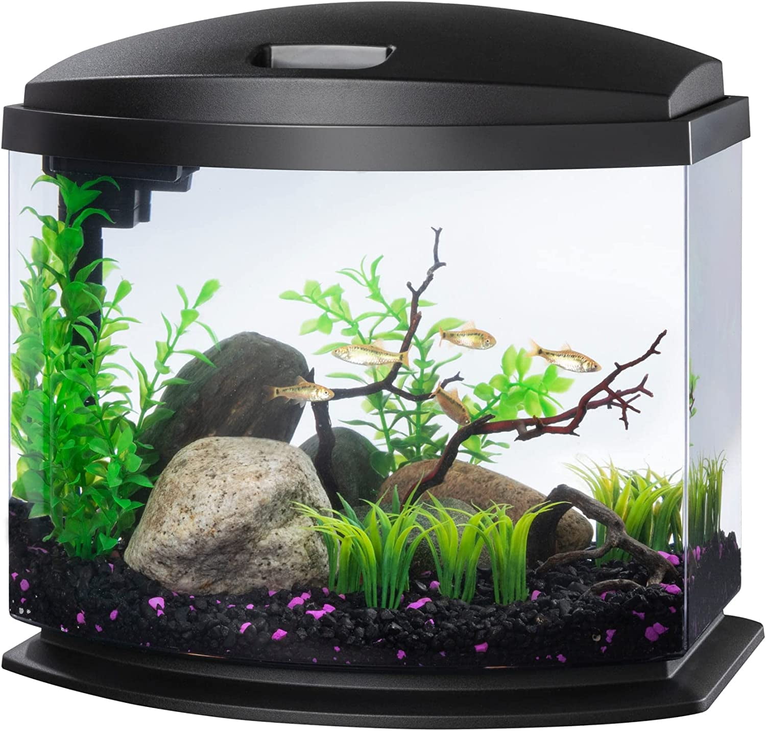 Aqueon Products  5 gal Aqueon Mini Bow LED Smartclean Kit, Black