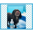 thumbnail image 7 of Speak Hypoallergenic Unscented Dog Shampoo, 17 ounces, 7 of 7