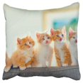 thumbnail image 1 of BOSDECO Housse de Coussin Confortable Douce pour Chatons Mignons 16x16 Pouces, 1 of 1