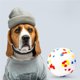 thumbnail image 2 of Methold Pelota de juguete para mascotas, juego de ejercicio de entrenamiento de animales para interiores y exteriores para el hogar, juguete Suministros para perros, 2 of 6
