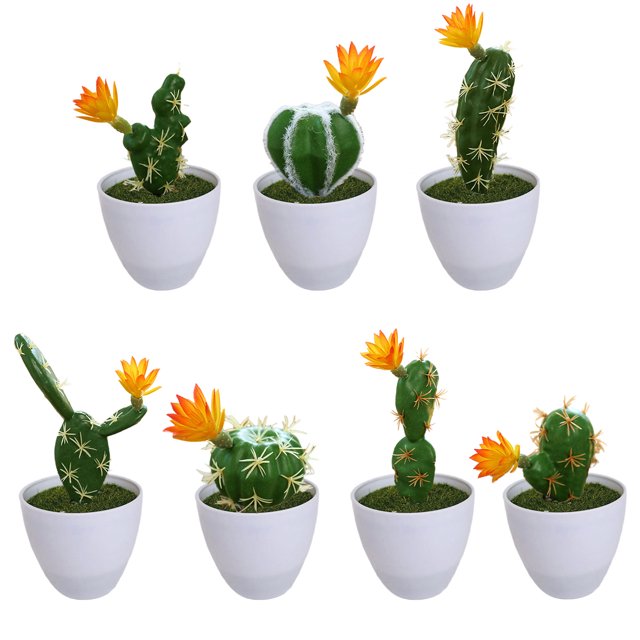 7 Uds planta de simulación con flor cactus tropical flor artificial suministros creativos DIY accesorios bonsái