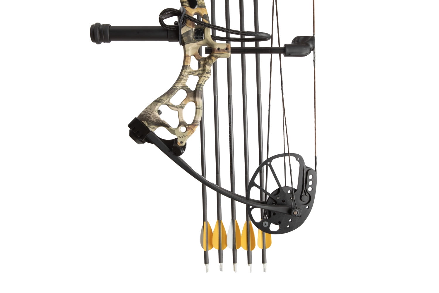 Bear Vast RTH Compound Bow, 20-30" Draw Length, 40-70lbs