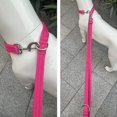 thumbnail image 4 of Dog Leash-Multifunctional Double Ended,for Obedience Training Or Distance Work Easy to Use,Lightweight,Soft&Durable Convertible Hands Free,Crossbody,Over Shoulder (Fuchsia, 2M*2.5CM), 4 of 5