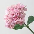 thumbnail image 1 of Xiao Hua 6 piezas de flores artificiales de hortensias de seda azules, ramo de hortensias realistas para bodas, fiestas, oficinas, decoración del hogar (rosa), 1 of 5