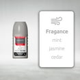 thumbnail image 4 of ABOVE Shiny Silver - 72 Hour Elements Antiperspirant Roll-On Deodorant for Men - Notes of Jasmine and Mint - Protects Against Sweat and Body Odor - Stain, Cruelty, and Alcohol Free - 1.7 oz, 4 of 5