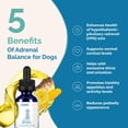 thumbnail image 3 of Remedio herbal PranaPets Adrenal Balance para perros con Cushing, 3 of 8