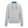thumbnail image 1 of Regatta Mens Cline Back Print Hoodie, 1 of 6