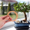 thumbnail image 3 of Bonsai Training Wire Set for Beginners and Professionals 5 Rolls Assorted Color Aluminum 1 0MM 1, 3 of 8