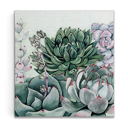Renditions Gallery Jardin de Succulentes II par Susan Jill Galerie Toile Enveloppée Art Mural, 24x24,