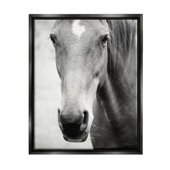Stupell Industries Moke Lake Horse Photography Animals & Insects Photography Black Floater Framed Art Print Wall Art, 17 x 21