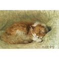 thumbnail image 2 of Henriëtte Ronner-Knip 24x17 Black Ornate Framed Double Matted Museum Art Print Titled: A Sleeping Cat (1898), 2 of 5