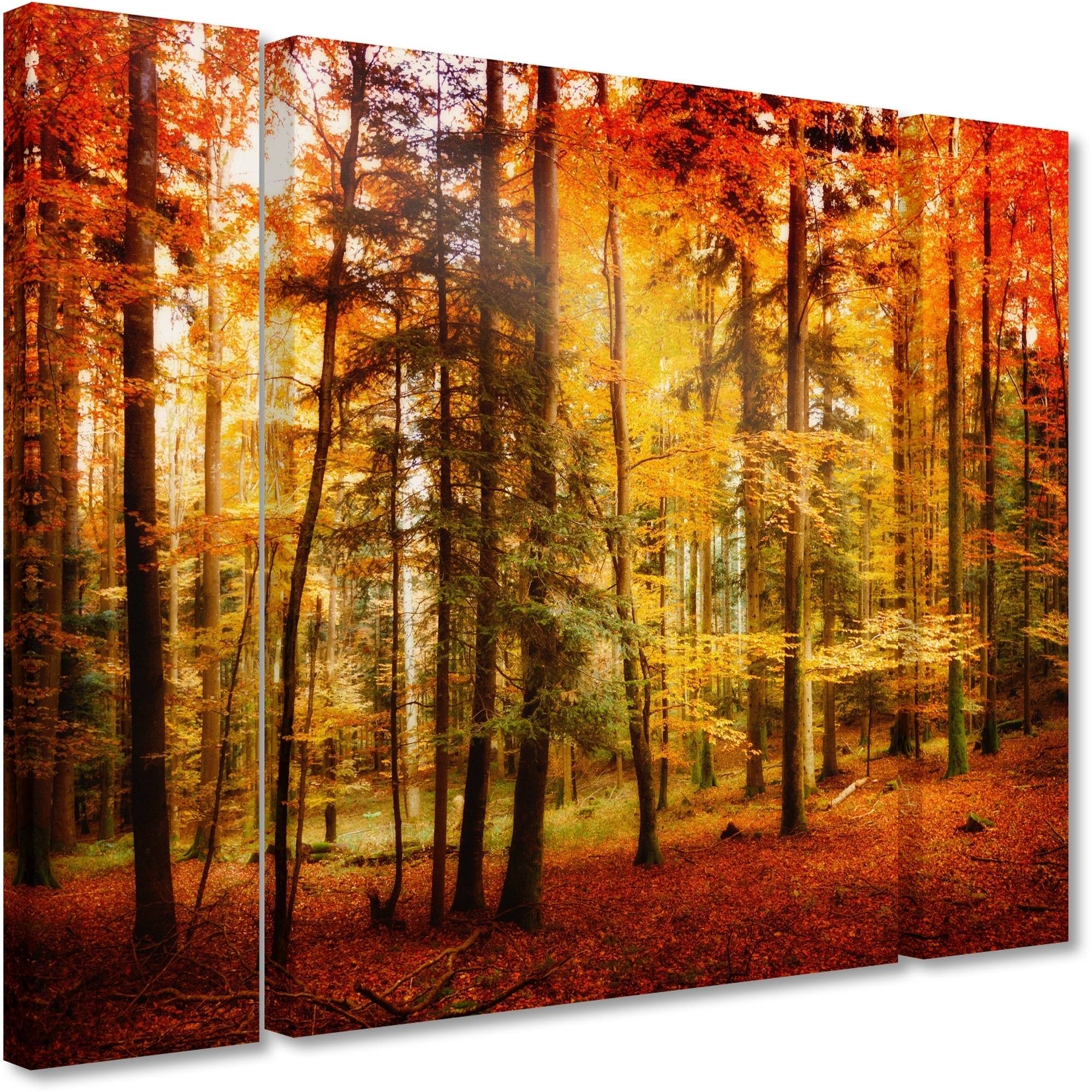 Trademark Fine Art "Brilliant Fall Color" Canvas Art by Philippe Sainte-Laudy Three Panel Set