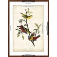 thumbnail image 5 of Art.com Painted Bunting Art Print by John James Audubon, Brown Frame Wall Art, 21" x 29", 5 of 5